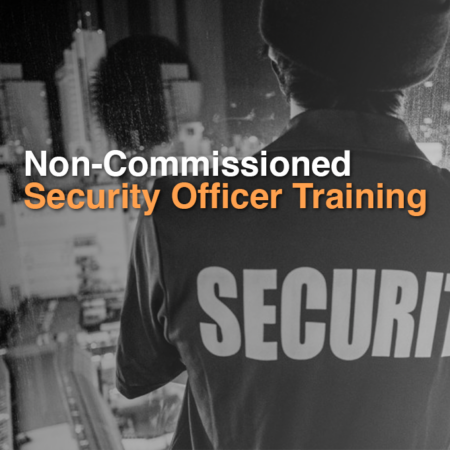 PSB Level II, Non-Commissioned Security Officer Training