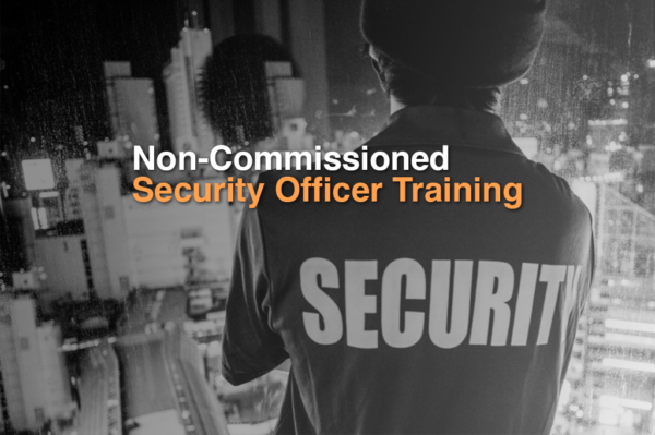PSB Level II, Non-Commissioned Security Officer Training