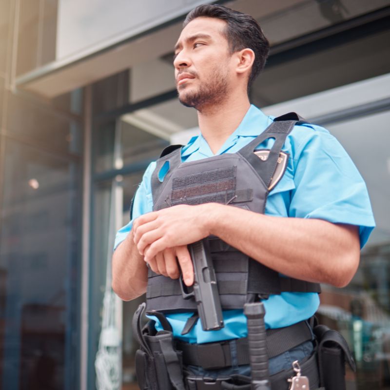 Level 2 TX Security Guard Course